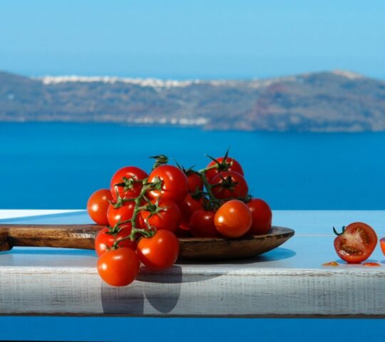 Santorini Private Wine Tour : From a Tomato Factory to Wineries