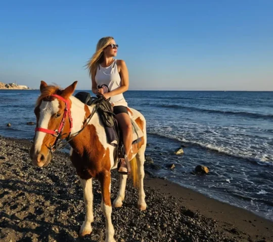 Experience horse riding