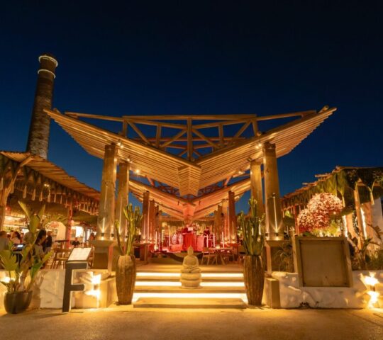 41 Forty One 41 Forty One