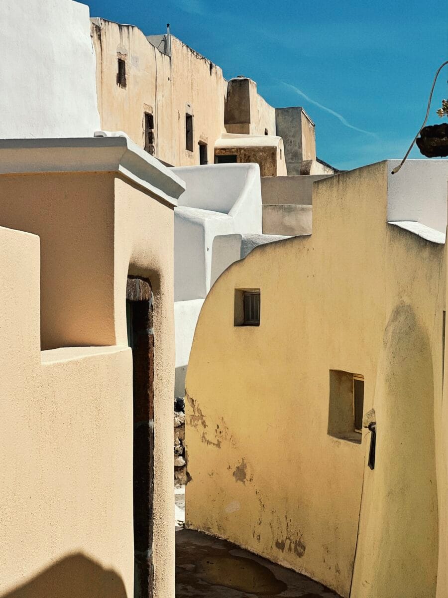 IMG_2958